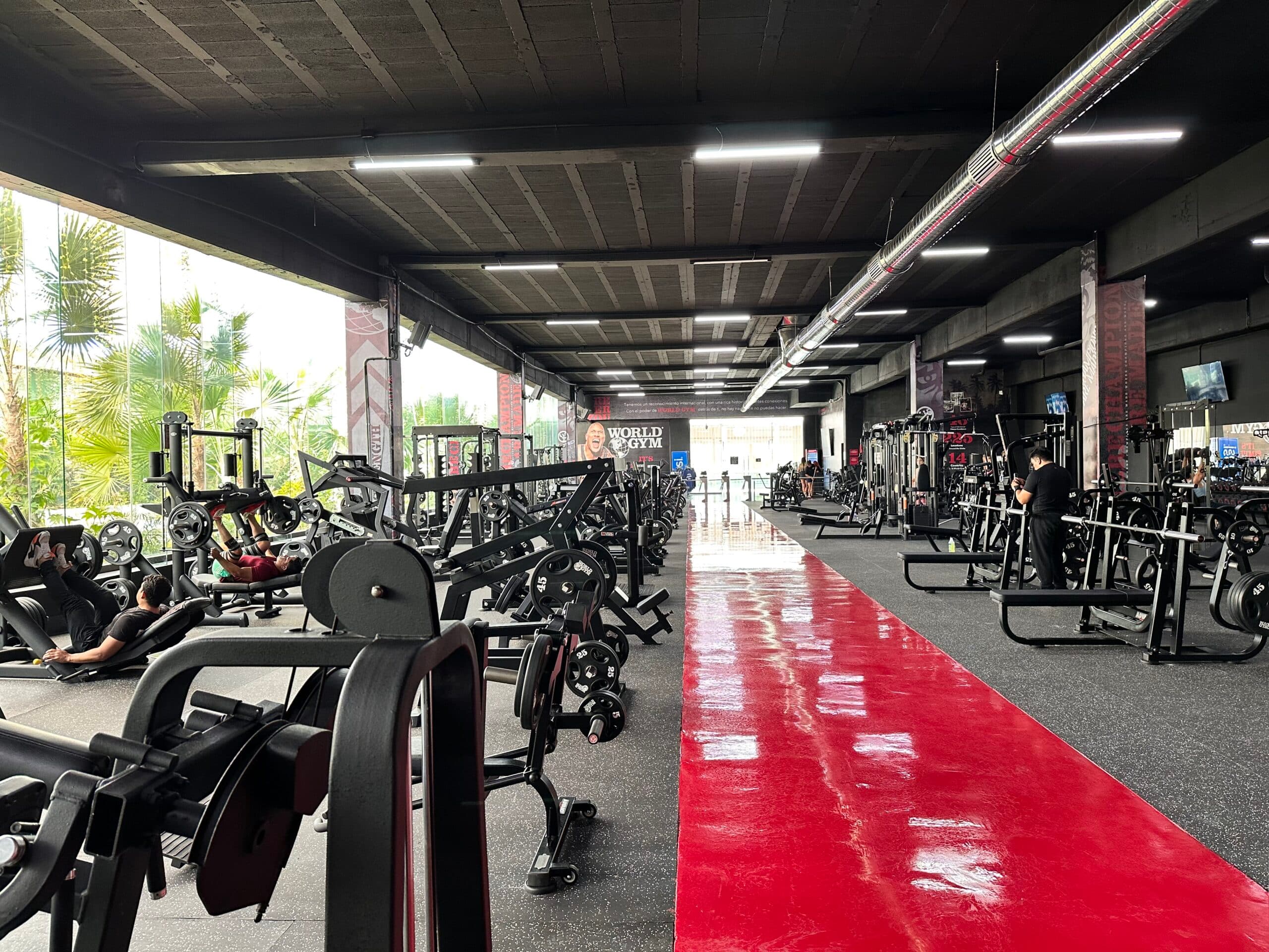 Albatros Gym